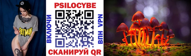 Галлюциногенные грибы Cubensis Старый Оскол