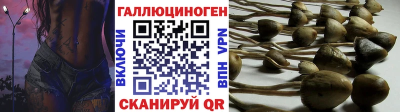 Галлюциногенные грибы Cubensis  Старый Оскол 